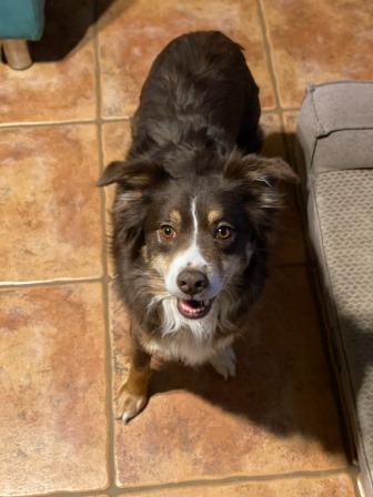 ellie mae 2